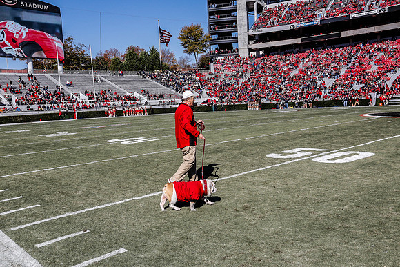 Georgia vs Charleston Southern