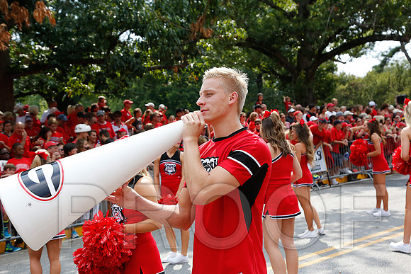 Georgia vs Clemson 2014