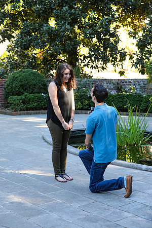 Stephen's Proposal to Morgan 2016