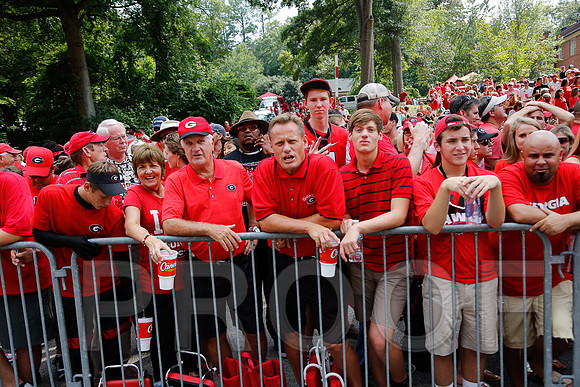 Georgia vs Clemson 2014