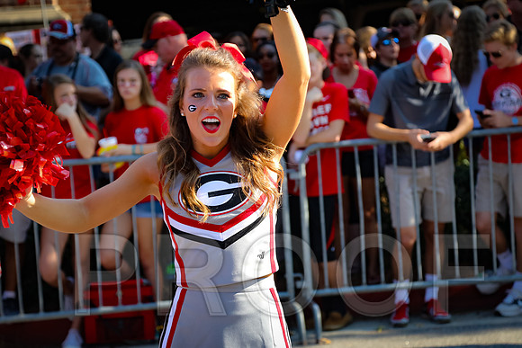 Georgia vs Nicholls 2016 Football