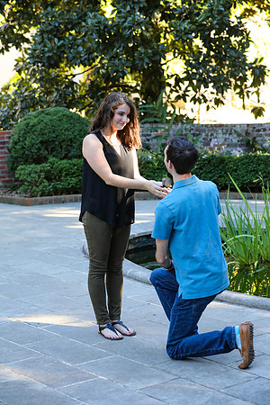 Stephen's Proposal to Morgan 2016