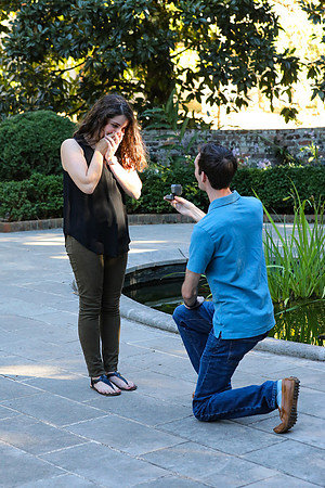 Stephen's Proposal to Morgan 2016