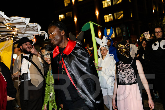 Wild Rumpus Parade 2016