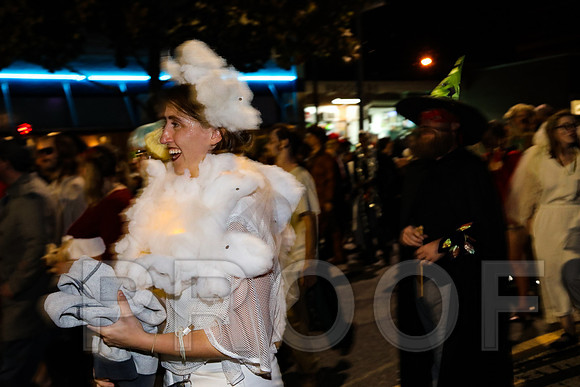 Wild Rumpus Parade 2016