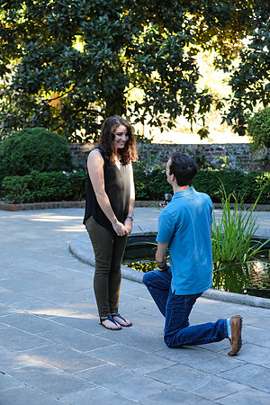 Stephen's Proposal to Morgan 2016