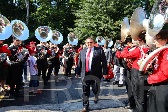 Georgia vs Nicholls 2016 Football