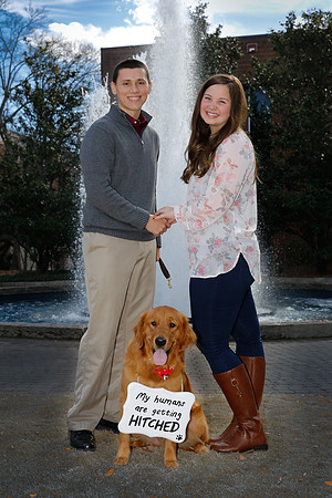 Stephen's Proposal to Aysha