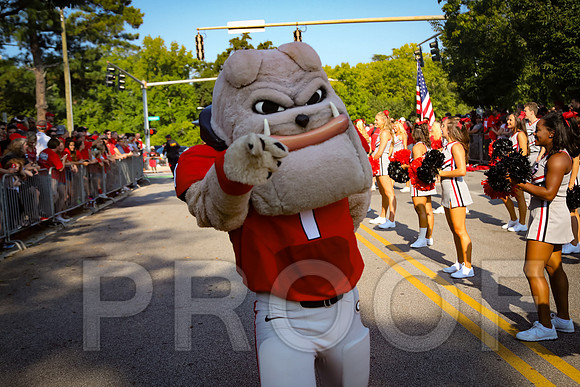 Georgia vs Nicholls 2016 Football