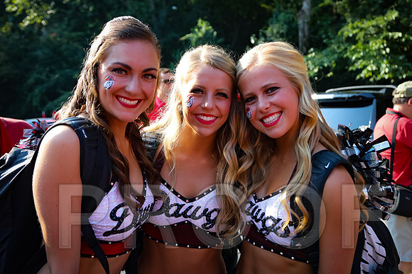 Georgia vs Nicholls 2016 Football