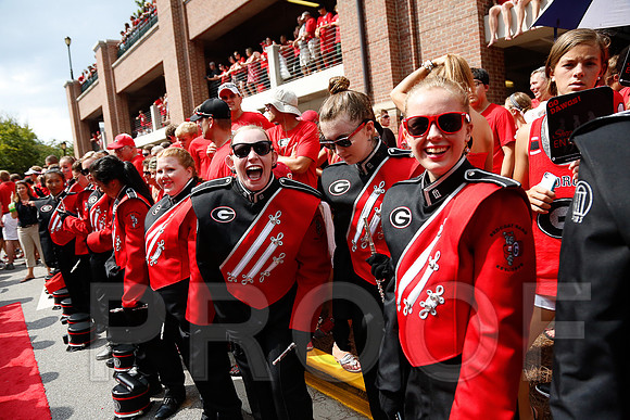 Georgia vs Clemson 2014