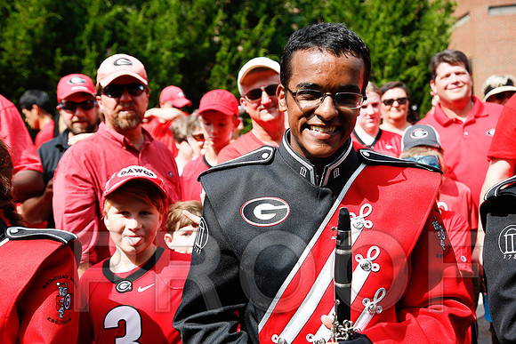 Georgia vs Clemson 2014