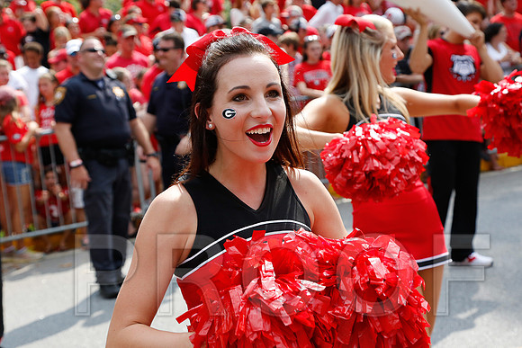 Georgia vs Clemson 2014