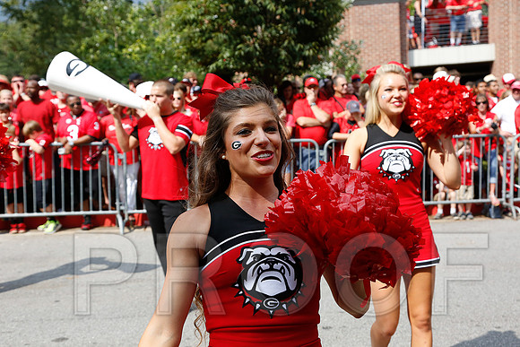 Georgia vs Clemson 2014