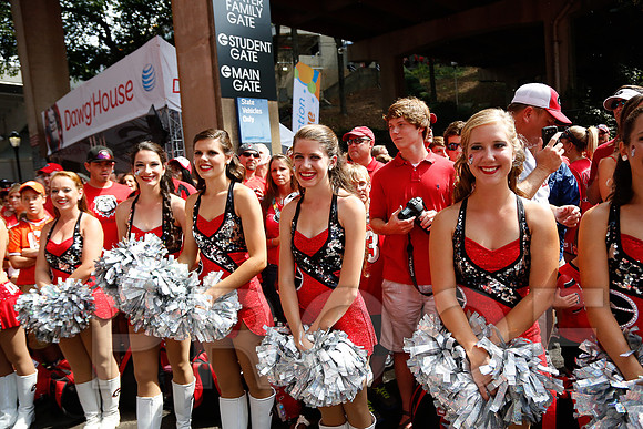 Georgia vs Clemson 2014
