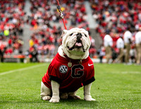 UGA X