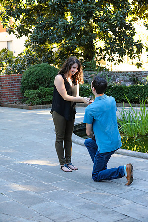 Stephen's Proposal to Morgan 2016