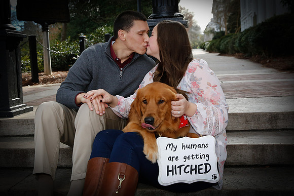 Stephen's Proposal to Aysha