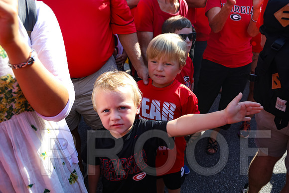 Georgia vs Nicholls 2016 Football