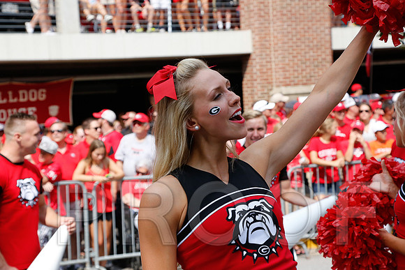 Georgia vs Clemson 2014