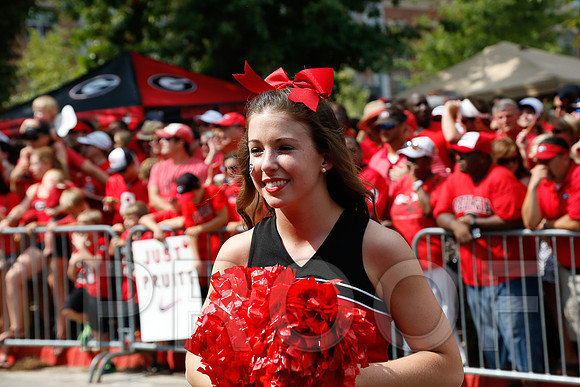 Georgia vs Clemson 2014