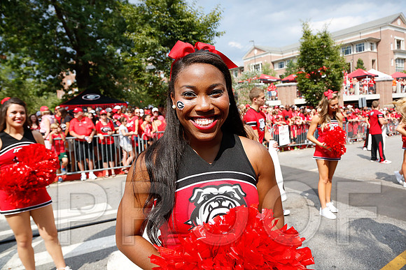 Georgia vs Clemson 2014