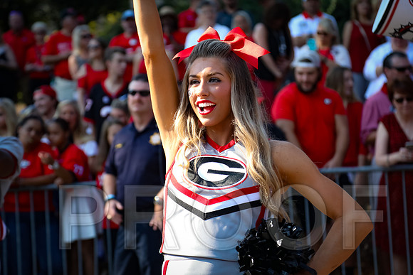 Georgia vs Nicholls 2016 Football