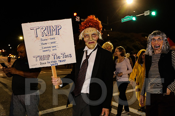 Wild Rumpus Parade 2016