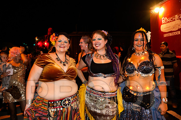 Wild Rumpus Parade 2016