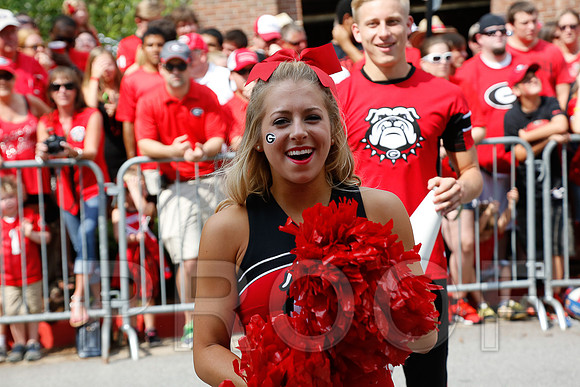 Georgia vs Clemson 2014