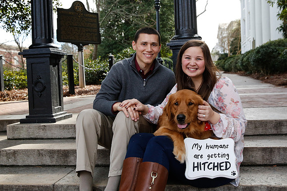 Stephen's Proposal to Aysha