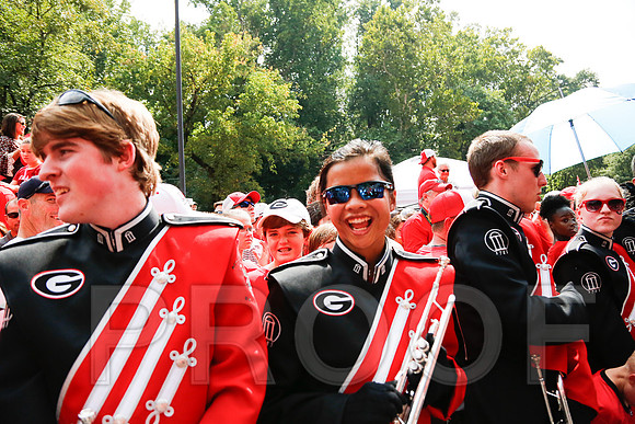 Georgia vs Clemson 2014