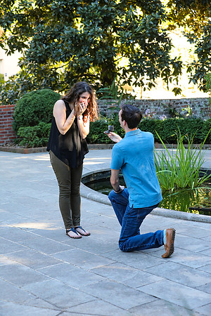 Stephen's Proposal to Morgan 2016