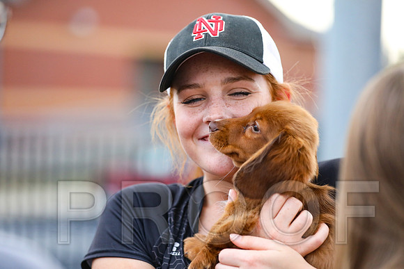 North Oconee Softball Senior Night