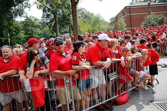 Georgia vs Clemson 2014