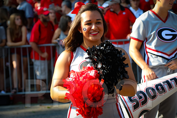 Georgia vs Nicholls 2016 Football