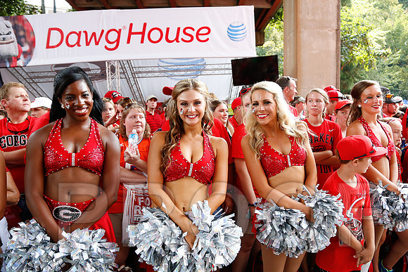 Georgia vs Clemson 2014