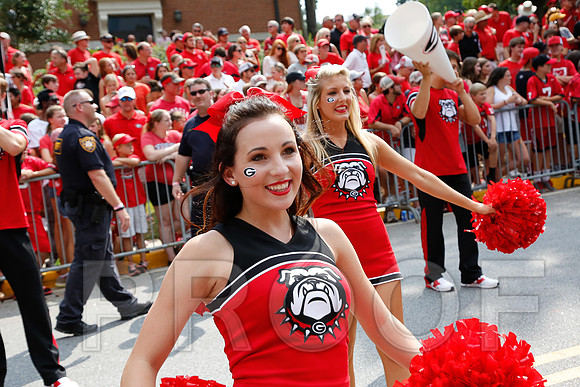 Georgia vs Clemson 2014