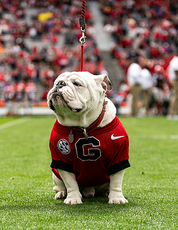 UGA X