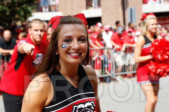Georgia vs Clemson 2014
