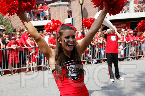 Georgia vs Clemson 2014